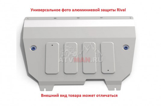 Защита двигателя + комплект крепежа, RIVAL, Алюминий, Evolute I-Pro 2022- Эволют ай про Rival 333.0601.1